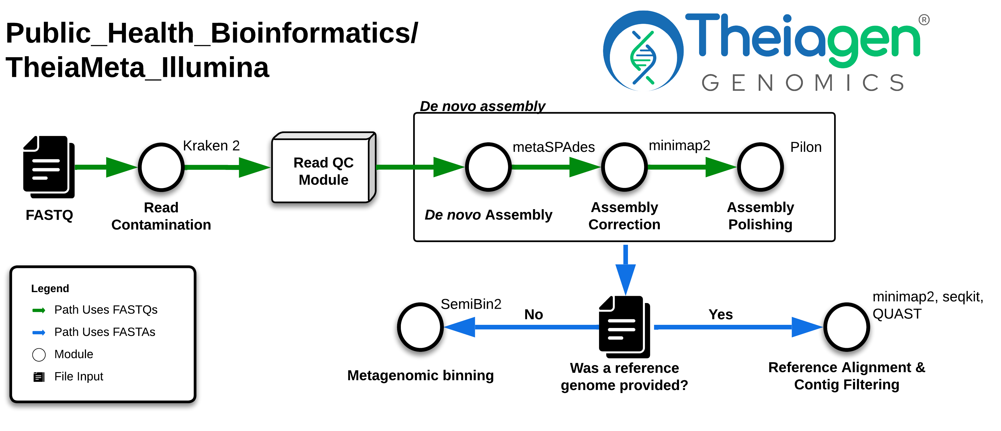 TheiaMeta Workflow Diagram