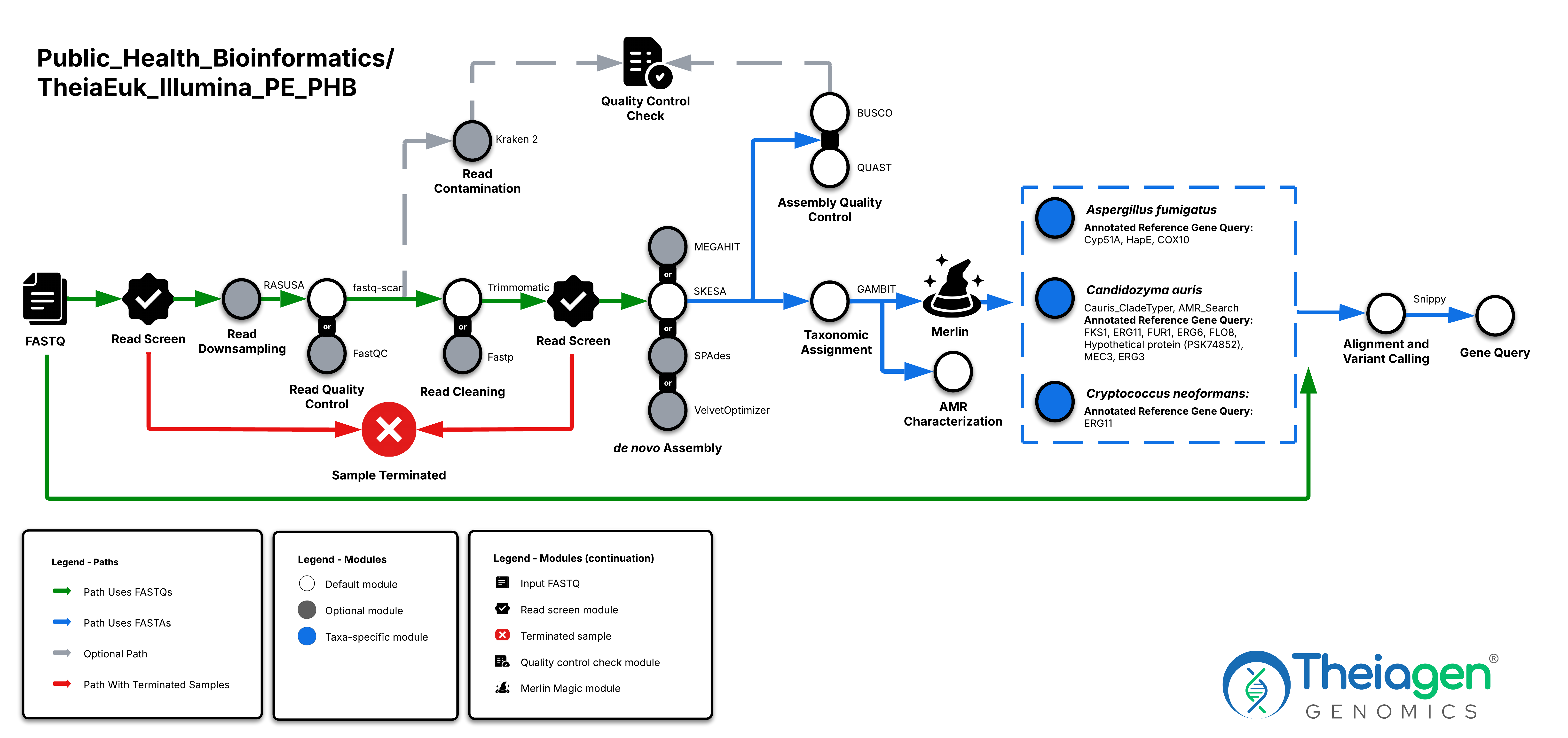 Workflow diagram for TheiaEuk Illumina PE, showing FASTQ inputs processed through read screening, quality control, and de novo assembly, leading to taxonomic assignment, AMR characterization, and organism-specific gene query and variant calling outputs.