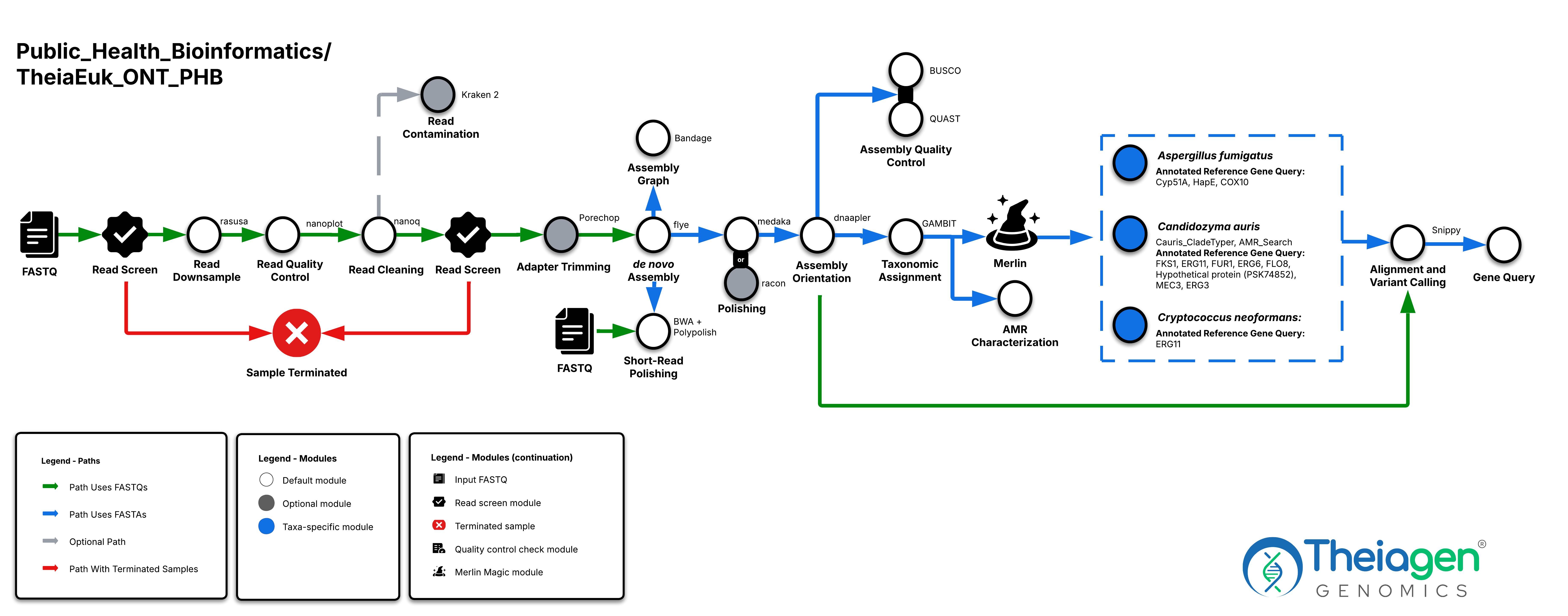TheiaEuk ONT workflow taking ONT FASTQ reads through quality control, adapter trimming, de novo assembly, and taxonomic assignment, with species-specific outputs for fungal pathogens including gene queries and variant calling.