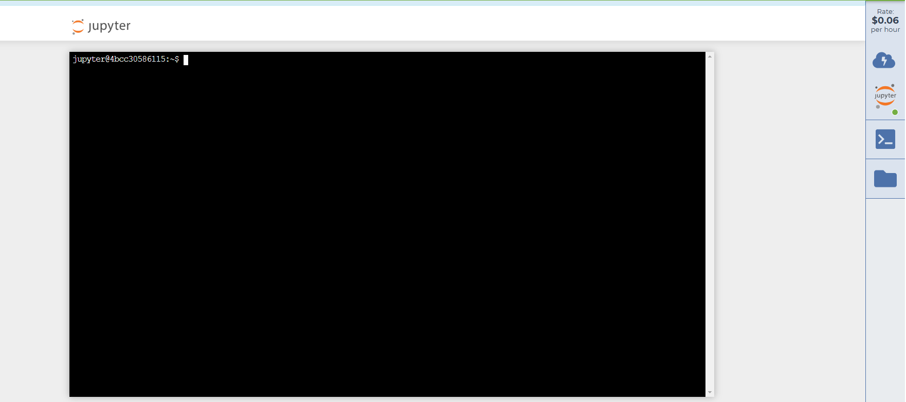 A Jupyter environment with an open terminal window showing a bash prompt, ready to accept commands.