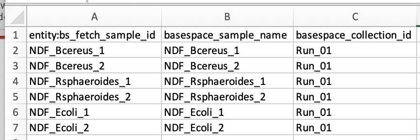 A spreadsheet with columns for bs_fetch_sample_id, basespace_sample_name, and basespace_collection_id, populated with six example sample rows all belonging to Run_01.
